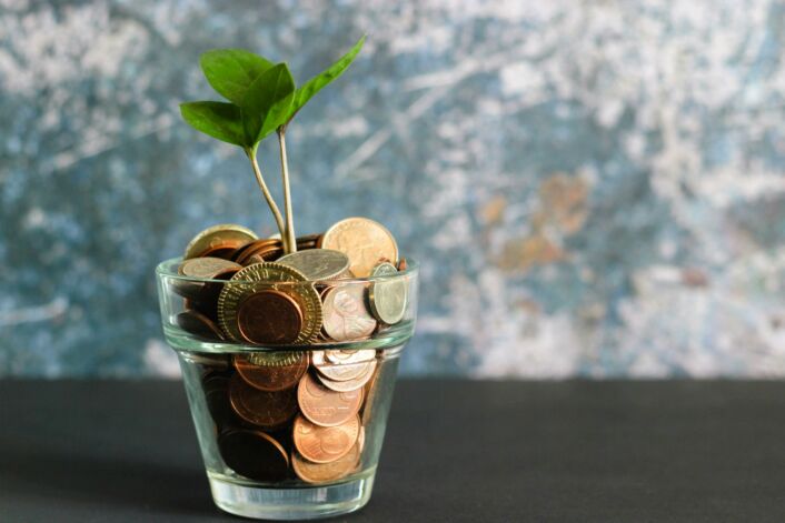 A small green plant growing from a glass full of coins, signifying how investments will grow in 2022